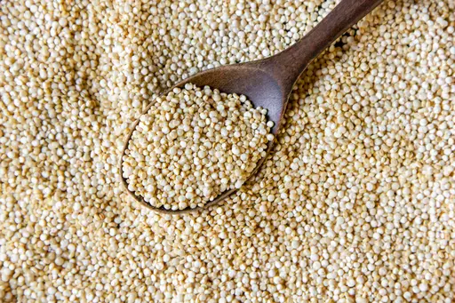 Sorghum grain close up
